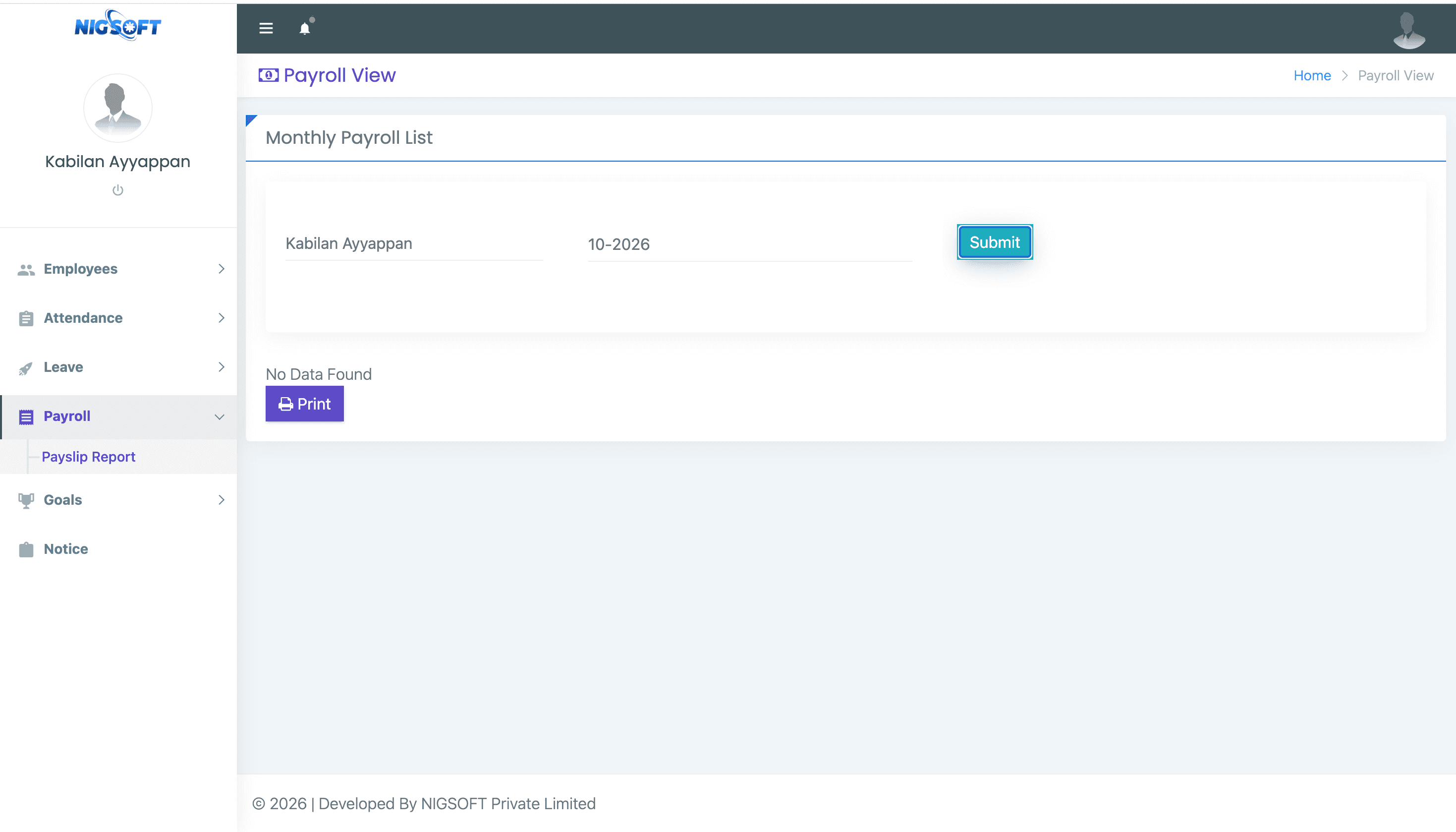Monthly Payroll & Payslip Access